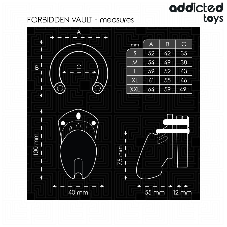 Addicted Toys – Cage de Chasteté Forbidden Vault 10 cm